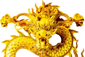金龙素材