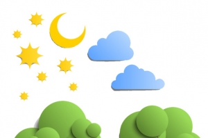 夜晚的两棵小树