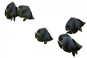 海底生物