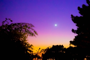 夜 天空 星星 树 深色 4k壁纸 3840x2160