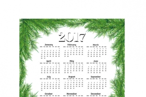 矢量2017年树枝边框年历