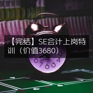 【完结】SE会计实战特训课程（原价3680元）