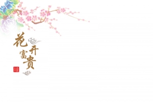 中国风花开富贵素材背景