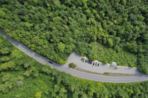 森林 树木 道路 停车场 汽车 鸟瞰 4k壁纸 3840x2160