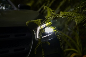 汽车 大灯 蕨类植物 灯 树叶 4k壁纸 3840x2160