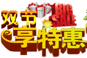 双节享特惠立体艺术字