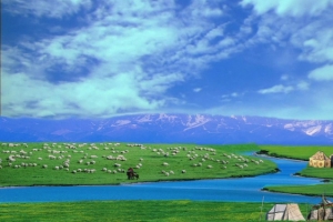 淘宝背景图