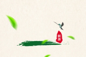 绿色茶园背景