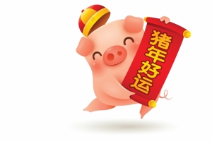 2019猪年好运4k壁纸