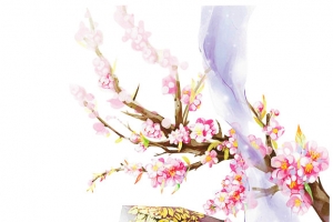 古典箱子 丝带 红色桃花 花瓣