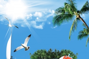 夏日海滨派对海报