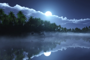 热带的寒冷的夜晚3440x1440风景壁纸