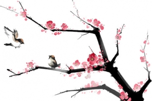 冬季服饰粉色梅花树枝小鸟