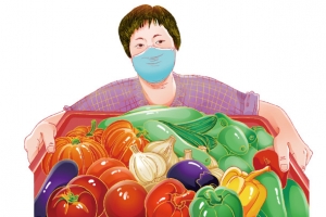 菜农 抗议工作者