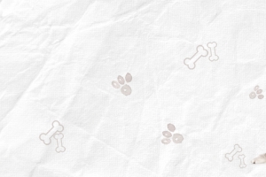 卡通宠物店文艺手绘白色banner