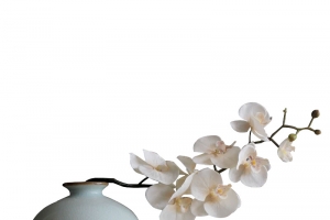 景德镇中国风瓷瓶