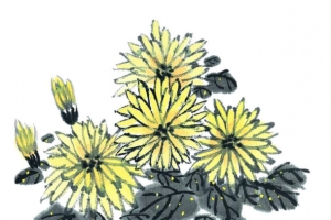 水墨菊花