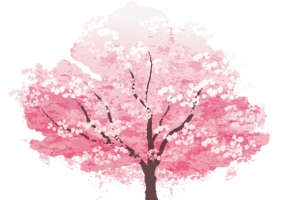 矢量图一树开满的桃花树