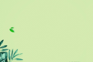 秋季补水护肤新品上市简约绿色banner