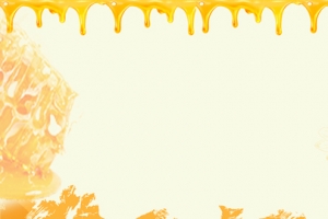 甜蜜蜂蜜滋补上市黄色banner
