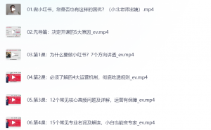 2024小红书运营新课，零基础打造爆款，普通人也能玩转