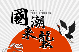 中国风国潮来袭13