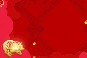 2019欢度春节喜庆猪年海报