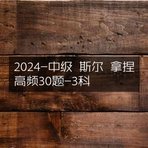 2024中级斯尔教育，精准拿捏三科高频30题
