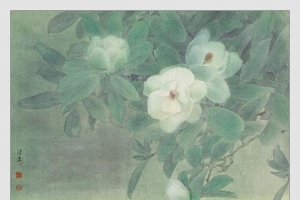 邹传安国画集绿叶衬美