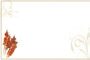 浅色简约美食烧烤串食品电商banner