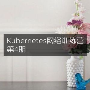 Kubernetes 网络训练营 第四期
