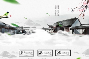 中国风水墨食品促销店铺首页