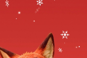 兔朱迪和狐尼克 红色背景 4K手机壁纸图片