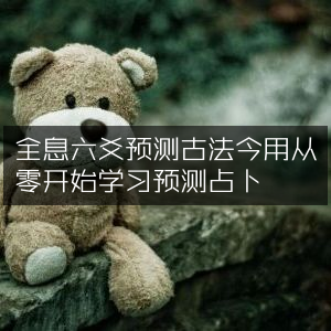 全息六爻预测，古法今鉴，零基础学占卜预测