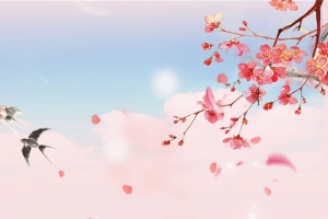 粉色唯美春季上新桃花春天背景