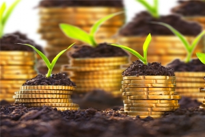 发牙金币金融背景