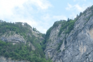 岩石 浮雕 树木 4k壁纸 3840x2160