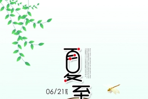 夏季荷叶田田背景图