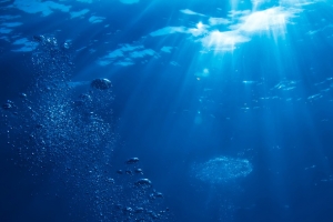 海底世界水下摄影素材