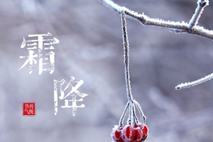 简约唯美二十四节气之霜降海报背景psd