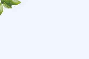 紫色小清新轻食主义PSD分层H5背景素材