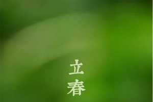 绿色背景上的新芽H5素材背景