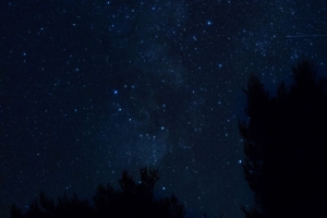 星空 夜晚 树木 克罗地亚 4k壁纸 3840x2160
