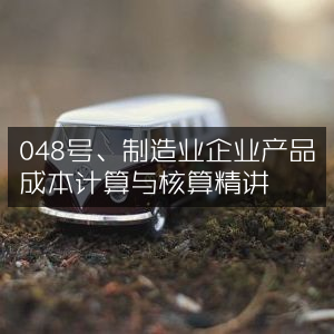 048号，制造业企业产品成本计算与核算深度解析
