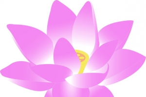 卡通粉色浪漫水仙花