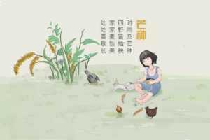 节气背景图