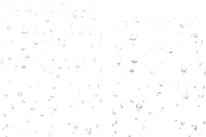 飘落的雨水