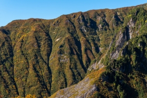 山 斜坡 景观 浮雕 树木 4k壁纸 3840x2160