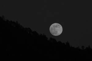 月亮 满月 树 黑白 4k壁纸 3840x2160