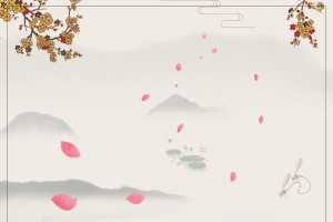 清新金银花药材花茶